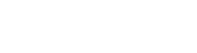 Southern Recognition Inc.